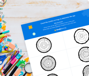 photo of a math activity worksheet about identifying tree rings