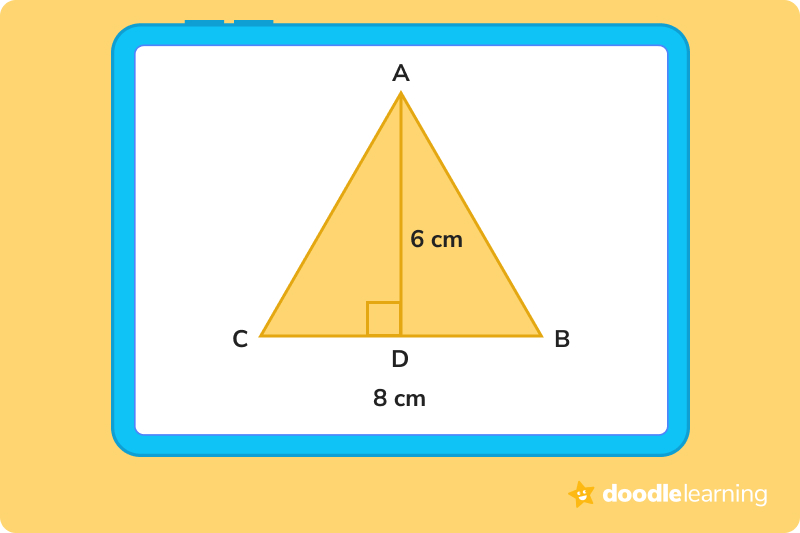 Identify the height of a triangle