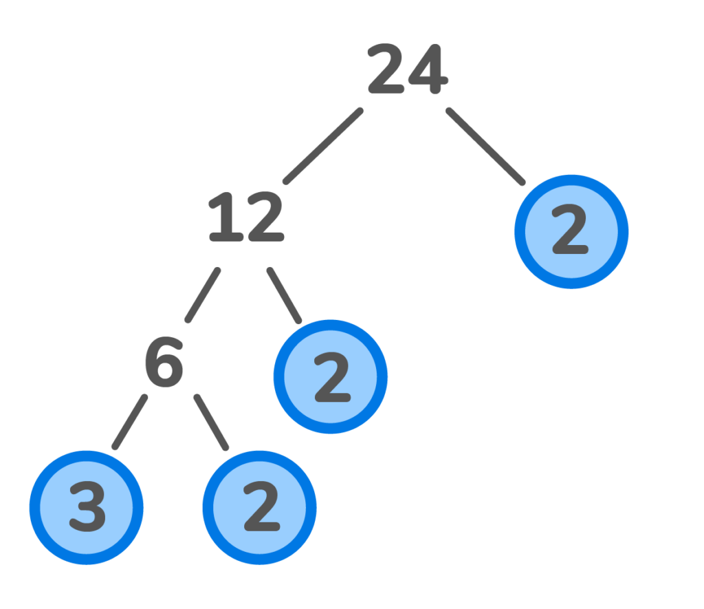 Prime factorization number tree of 24